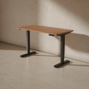 HomePro Schreibtisch